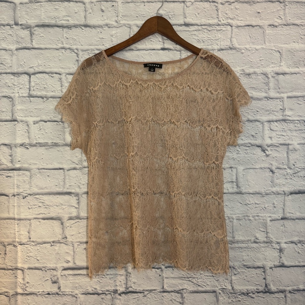 Trouve Sheer Lace Top